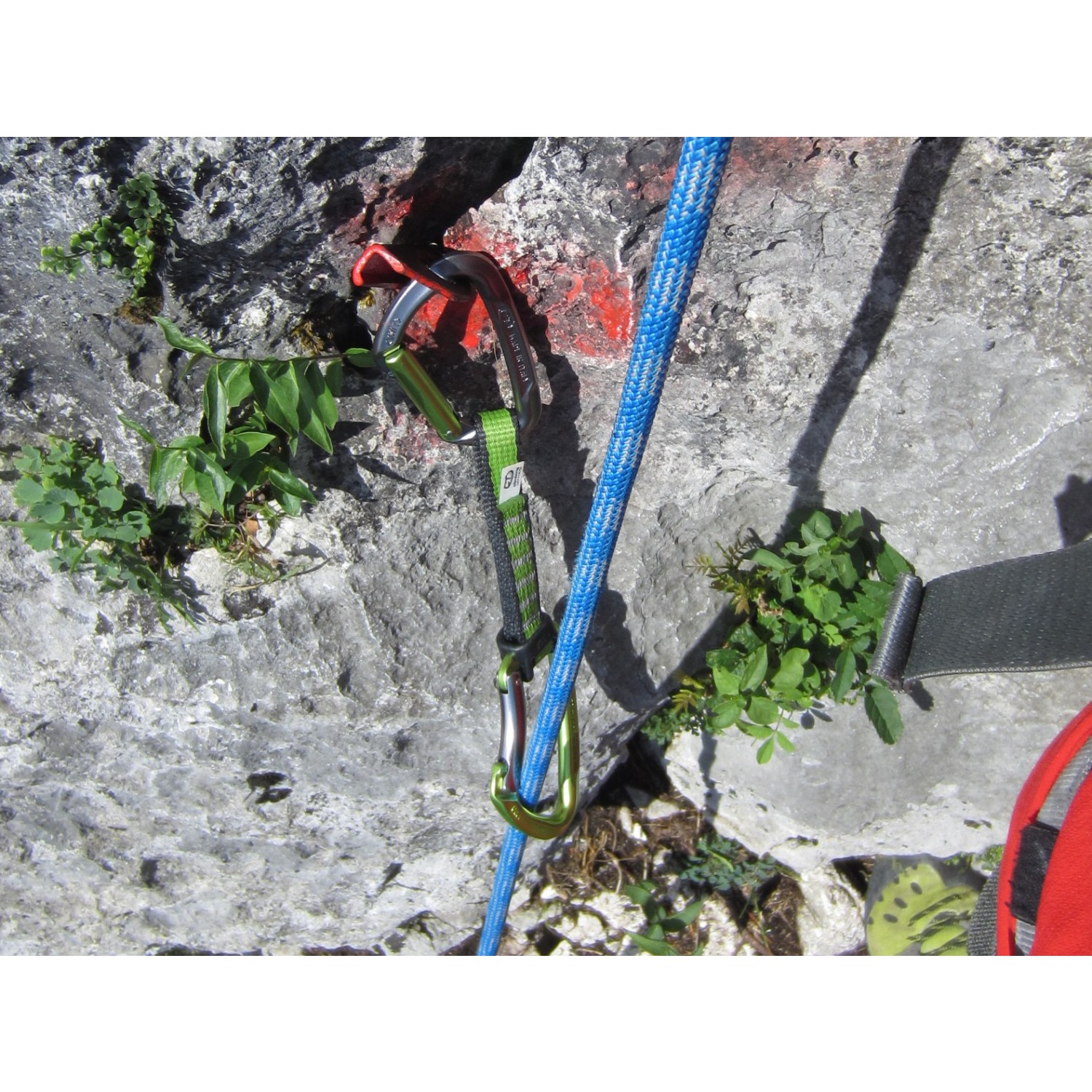 Climbing Technology Lime Set Nylon Rinvio Acquista online