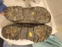 Immagine 1 di Joshua su Salewa - MS Rapace GTX - Scarponi da montagna