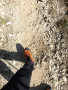 Immagine 2 di Rainer su Scarpa - Mont Blanc Pro GTX - Scarponi da montagna