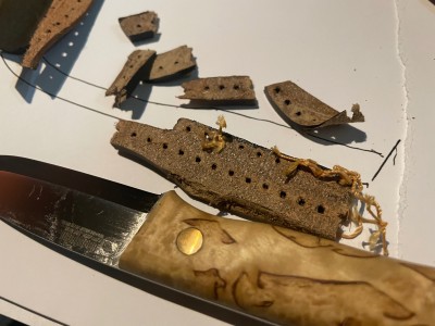 Immagine 1 di Marco su Casström - Woodsman - Coltelli