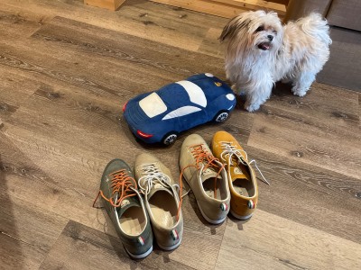 Immagine 1 di Frank su Dolomite - Cinquantaquattro Low Full Grain Leather Evo GTX - Scarpe per il tempo libero