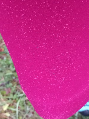 Immagine 1 di Doris su Dynafit - Women's Alpine Warm Pant - Pantaloni da ginnastica