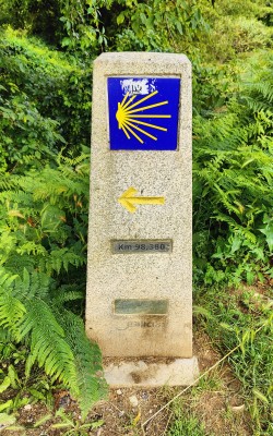 Immagine 1 di Peter su Fjällräven - Abisko Wool Classic S/S - Maglia merino