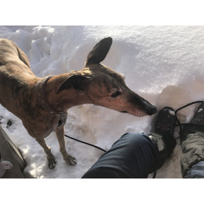 Immagine 1 di Edith su Hanwag - Tatra II Lady GTX - Scarpe da trekking