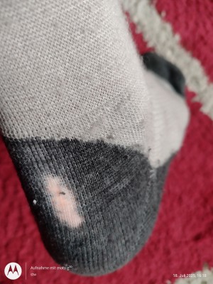 Immagine 1 di Stefan su Heber Peak - EvergreenHe. Hiking Crew Socks 2-Pack - Calze da trekking