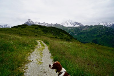 Immagine 1 di Carmen su Heber Peak - Women's JackpineHe. Raincoat - Giacca antipioggia