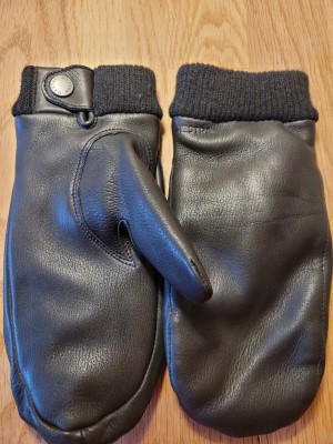 Immagine 1 di Sandra su Hestra - Women's Idun Mitt - Guanti