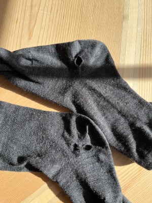 Immagine 1 di Susanna su Injinji - Liner Crew Wool - Calze casual