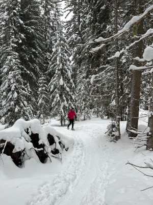 Immagine 1 di Peter su Inook - Women's Odalys - Ciaspole