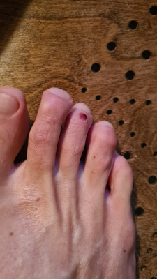 Immagine 1 di Thorsten su La Sportiva - Boulder X Mid GTX - Scarpe da avvicinamento