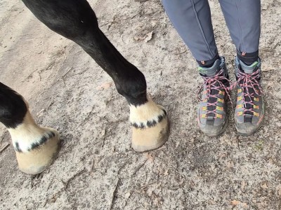 Immagine 1 di Ines su La Sportiva - Women's Trango TRK Leather GTX - Scarpe da trekking