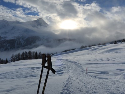 Immagine 1 di Axel su Leki - Big Mountain Basket - Accessori bastoni da trekking