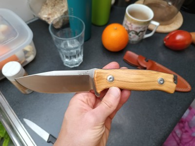 Immagine 1 di Markus su LionSteel - M5 - Coltelli
