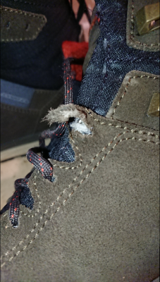 Immagine 1 di Rodolphe su Lowa - Malta GTX MID - Scarpe da trekking