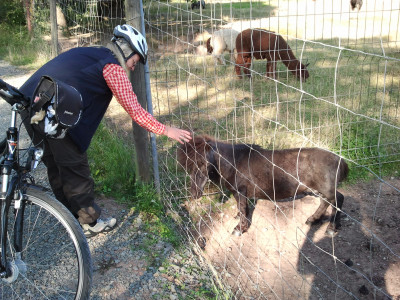 Immagine 1 di Cordula su Lundhags - Women's Authentic Pant - Pantaloni da trekking