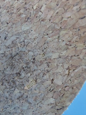 Immagine 1 di Michael su Reef - Cushion Phantom Cork - Sandali