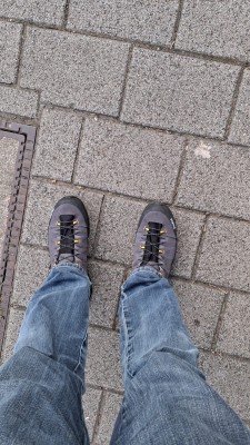 Immagine 1 di michael su Salewa - Alp Trainer 2 GTX - Scarpe sportive