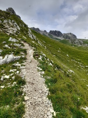 Immagine 1 di Michael su Salomon - XA Pro 3D V9 Wide - Scarpe sportive
