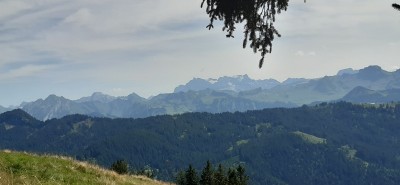 Immagine 1 di Bruno su Scarpa - Mojito Trail GTX Suede - Scarpe sportive