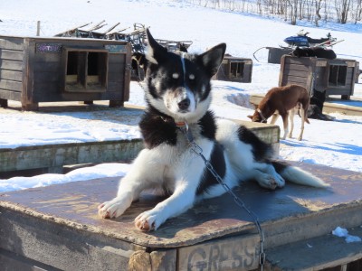 Immagine 1 di Ingrid su Sealskinz - Beetley - Passamontagna