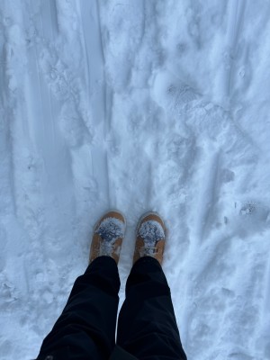 Immagine 1 di Daniela su Sorel - Women's Explorer Next Joan WP - Scarpe invernali