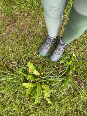 Immagine 1 di Cindy su Topo Athletic - Trailventure 2 WP - Scarpe da trekking