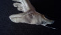 Immagine 2 di Martin su Edelrid - Sticky Glove - Guanti