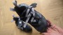 Immagine 1 di Anna Andreevna su Evolv - Phantom - Scarpette da arrampicata