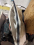Immagine 2 di Tim su Ferrino - Backpack Instinct 65+15 - Zaino da escursionismo