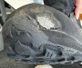 Immagine 2 di Luca su Heber Peak - EvergreenHe. WP Mid - Scarpe sportive