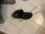 Immagine 2 di Marianna Almpoura su La Sportiva - Women's TXS GTX - Scarpe da trekking