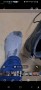 Immagine 2 di karl su Lowa - Taurus Pro GTX Mid - Scarpe da trekking