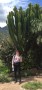 Immagine 2 di Lea su Mammut - Classic Bumbag Melange - Marsupio