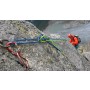 Immagine 1 di Heike su Mammut - Pendi 8.0 Dry - Mezza corda