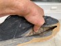 Immagine 2 di Quentin su Northwave - Rockit - Scarpe da ciclismo