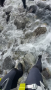 Immagine 2 di Pia-Maria su Salewa - Women's Ortles Ascent Mid GTX - Scarponi da montagna