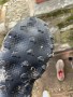 Immagine 2 di Tom su Salomon - S/Lab Ultra Glide - Scarpe per trail running