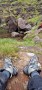 Immagine 2 di Winnie  su Salomon - Women's Quest 4 GTX - Scarpe da trekking