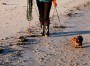 Immagine 1 di Jolanta su Tretorn - Women's Skanör - Stivali di gomma