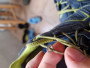 Immagine 2 di Nicole su Trollkids - Kid's Skarvan Hiker Low - Scarpe sportive
